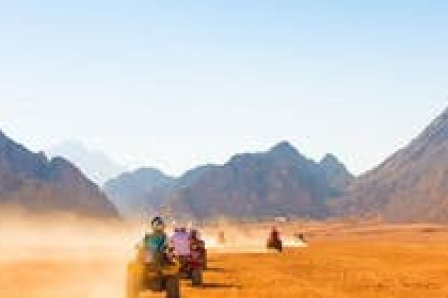 Private 3-Hours Quad Safari and Camel ride after lunch from Sharm el sheikh