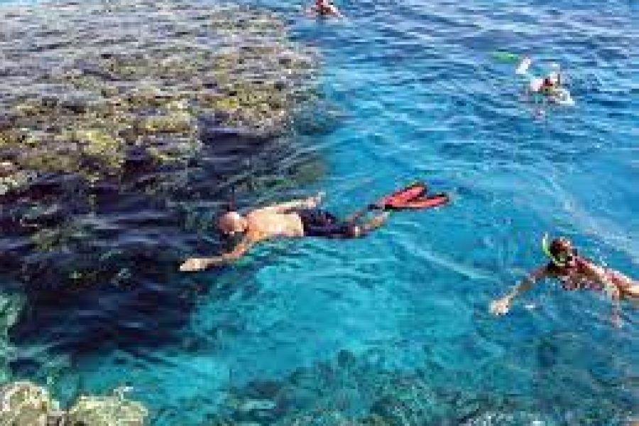 Marsa Mubarak Sea Snorkeling Boat Trip Marsa Alam