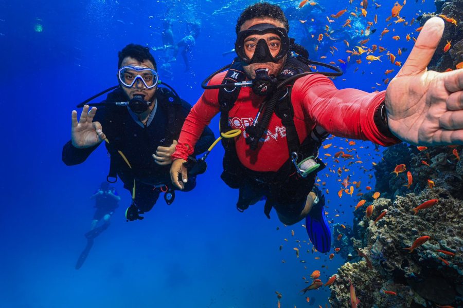 Scuba Diving In Ras Mohammed