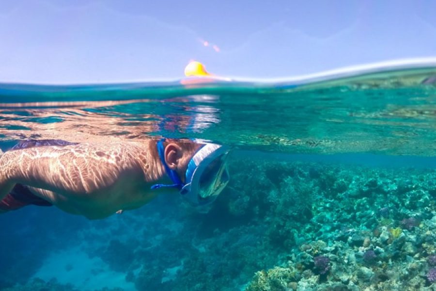 Abu Dabab Snorkeling Tours in Marsa Alam