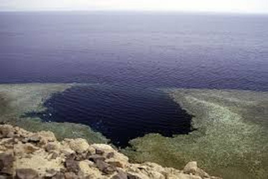 Snorkel trip in the Blue Hole with Camel ride from Sharm