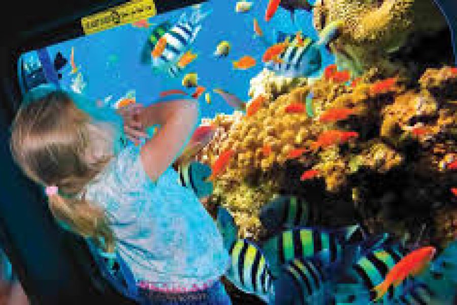 Semi submarine trip from Marsa Alam