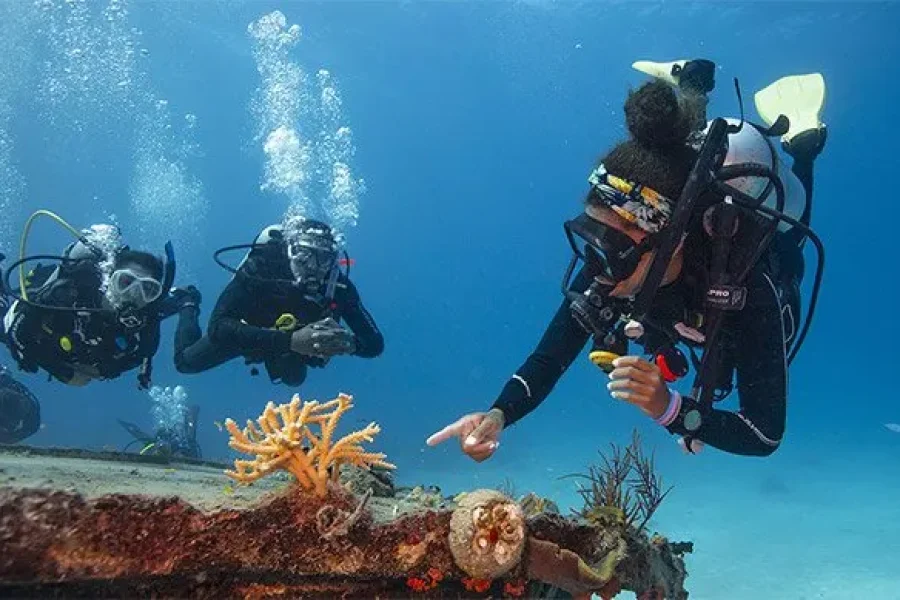 PADI Dive Master Course>