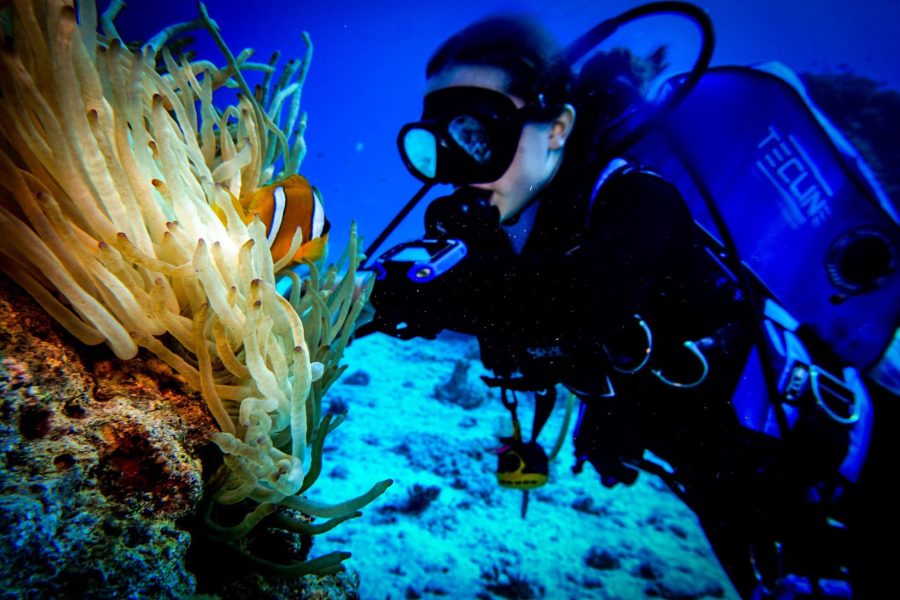 PADI open water diving course
